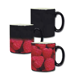 ספלים ובקבוקים